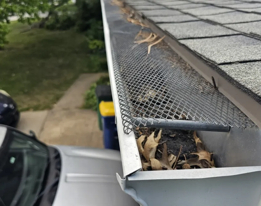 Gutter cleaning
